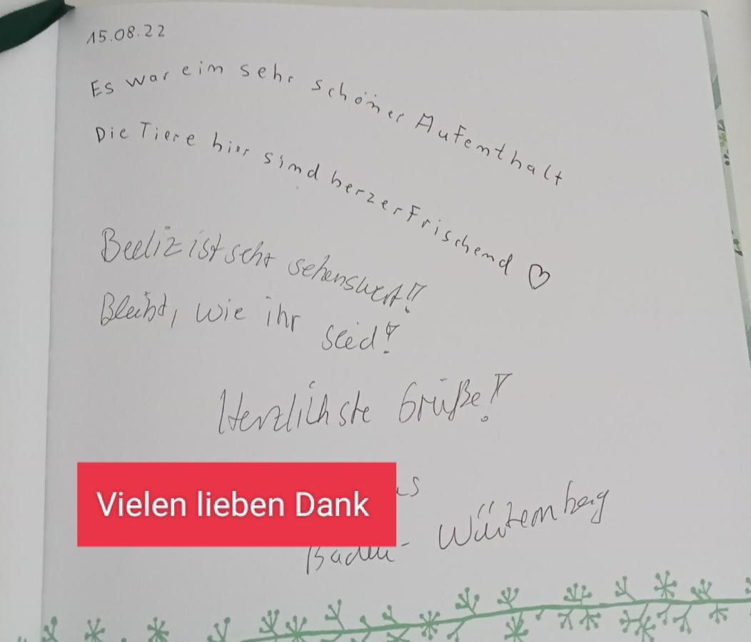 Ferienzimmer Waldzauber *